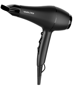 Professional hair dryer