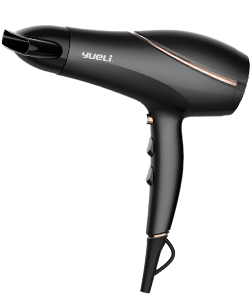 Professional Hair Dryer